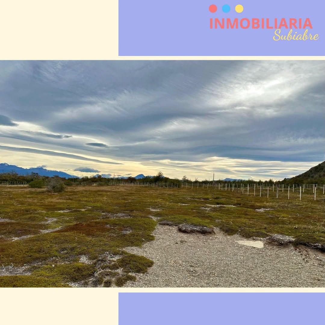 5,500 m² lot, El Triángulo